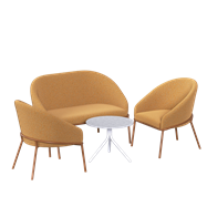 Finley Lounge & Chair Package